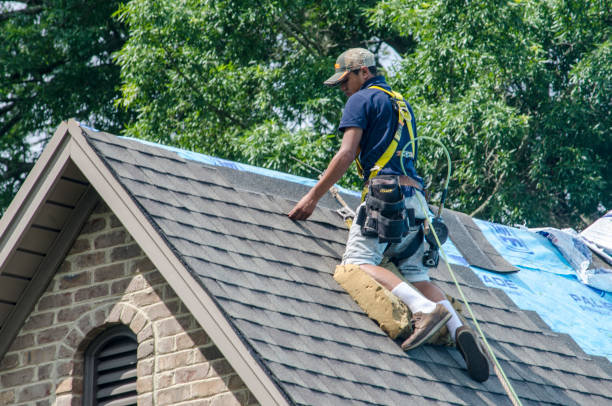 Trusted Ashland, NE Roofing Contractor Experts